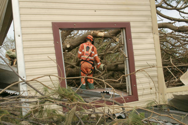 Best Storm Damage Tree Cleanup  in New Canaan, CT