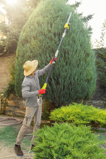 Best Lawn Watering Services  in New Canaan, CT